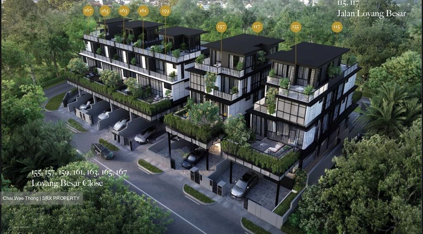 Jalan Loyang Besar (D17), Terrace #502268201